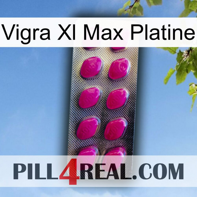 Vigra Xl Max Platinum 09